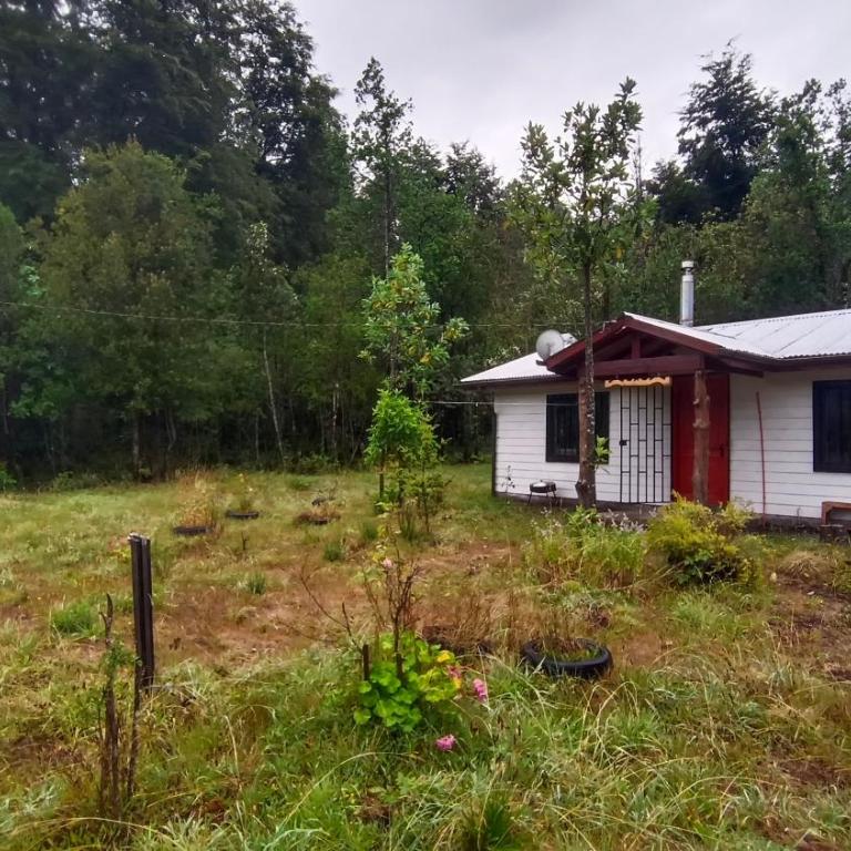 Cabaña entre coihue - Three-Bedroom House - 20