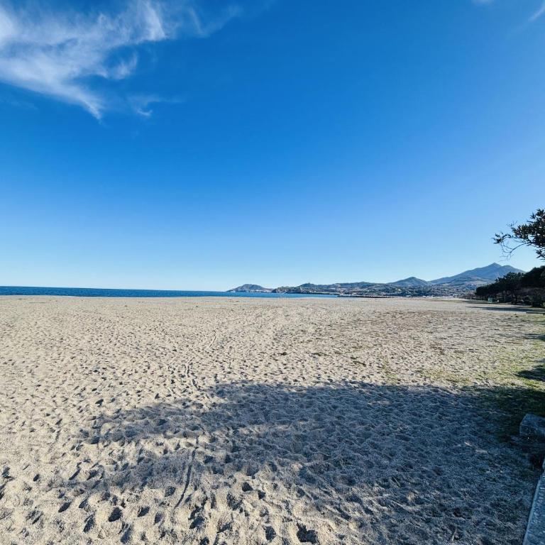Argelès-sur-Mer : Appartement T2 cabine face à la mer, 4 couchages - FR-1-309-255 - Apartment (5 Adults) - 12