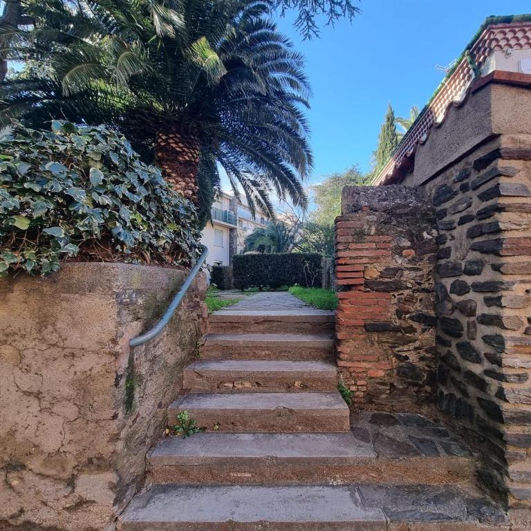 Appartement T3 calme avec terrasse et cuisine équipée, à 300m de la plage de Collioure - FR-1-309-246 - Apartamento (4 adultos) - 15