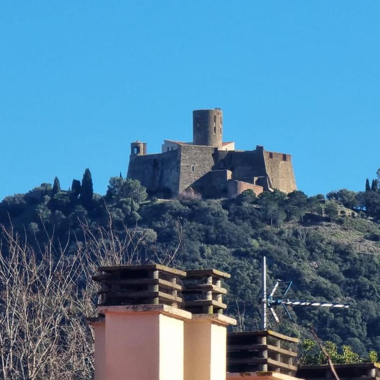 Appartement T3 calme avec terrasse et cuisine équipée, à 300m de la plage de Collioure - FR-1-309-246 - Apartamento (4 adultos) - 19