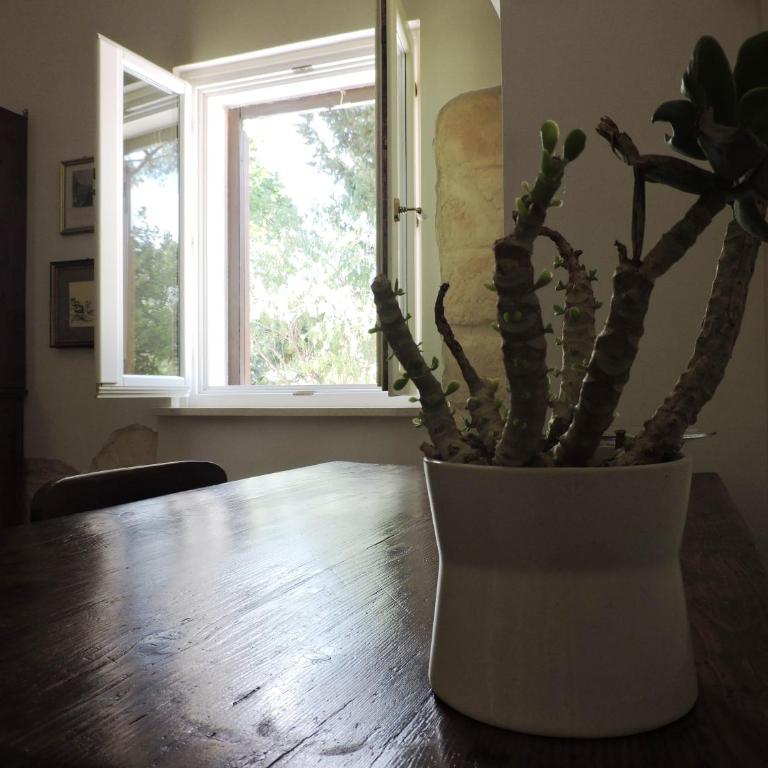 Villa in Salento - Appartamento con 1 Camera da Letto - 21