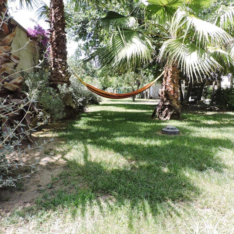 Villa in Salento - Appartamento con 1 Camera da Letto - 22