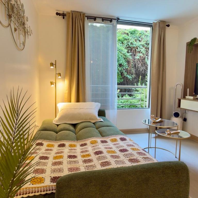 Departamento Bellas Artes Chic - Two-Bedroom Standard Apartment - 10