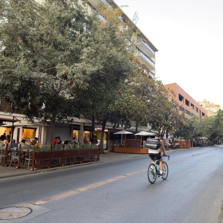 Departamento Bellas Artes Chic - Two-Bedroom Standard Apartment - 29