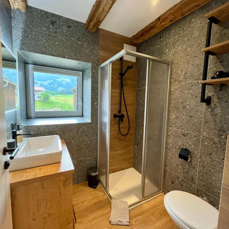 Saalfelden Apartment Balcony Mountainview - One-Bedroom Apartment - 16