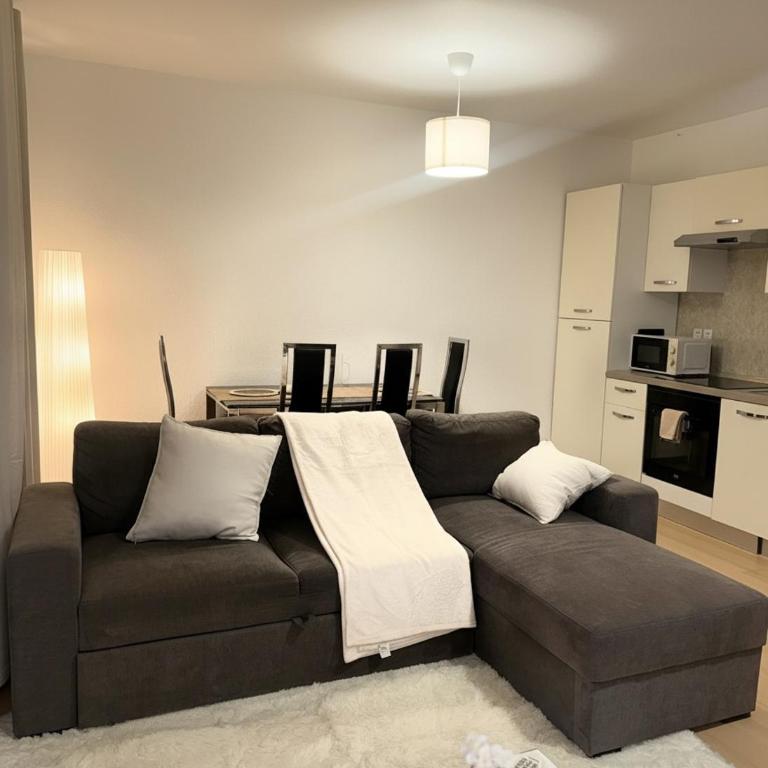 Appartement Cosy au cœur de Mulhouse - Apartment mit 1 Schlafzimmer - 4