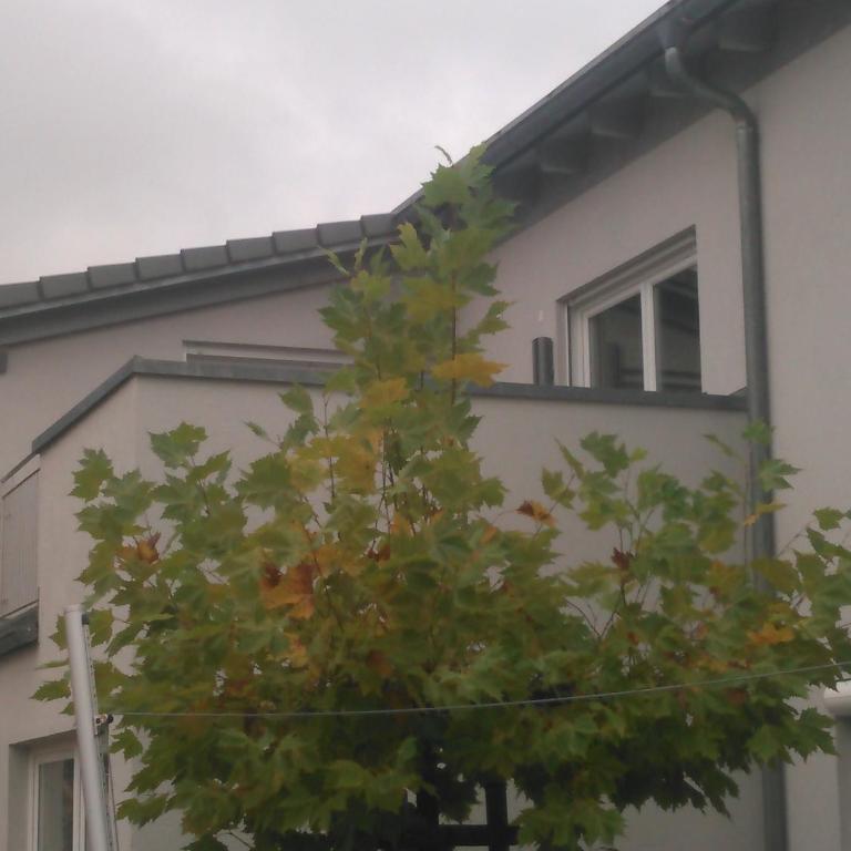 Ferienwohnung zum Kletterturm - Apartment mit Terrasse - 11