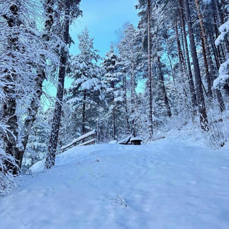 Refuge-style chalet Mountain view - Chalet 2 Chambres - 3