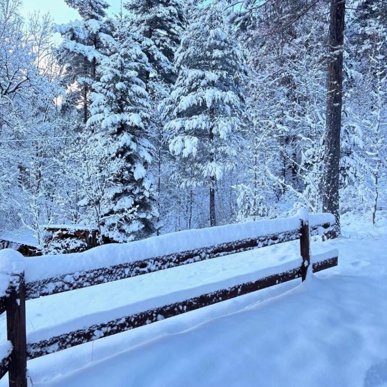 Refuge-style chalet Mountain view - Chalet 2 Chambres - 4