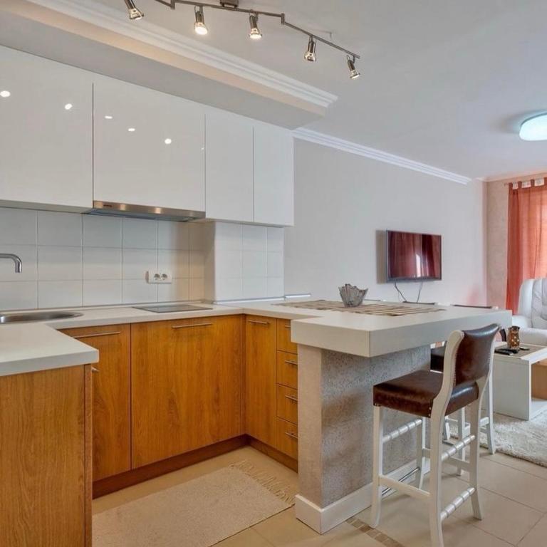 Apartman Anchi Zlatibor - Apartman sa 1 Spavaćom Sobom - 1