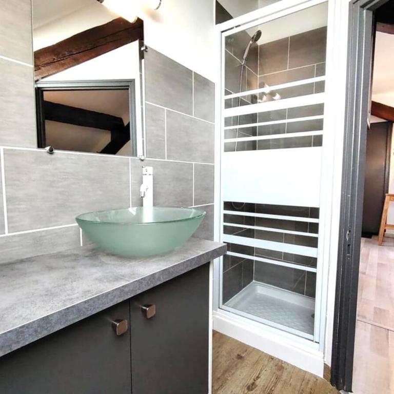 Le studio du centre - Appartement - 14