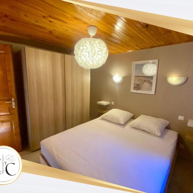 cozy chalet mountain view, garden - Apartment - 10