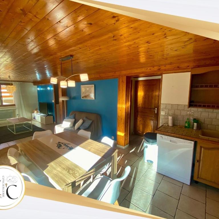cozy chalet mountain view, garden - Apartment - 17
