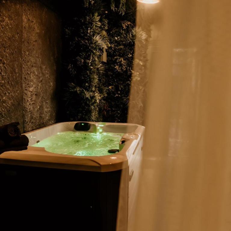 La Jungle de Toulon, Voyage Sensoriel & Spa - Appartamento con 1 Camera da Letto - 3