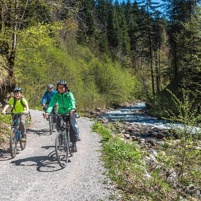 Ferienhaus Nr 127, Kategorie Komfort L, Feriendorf Hochbergle, Allgäu - Ferienhaus - 38