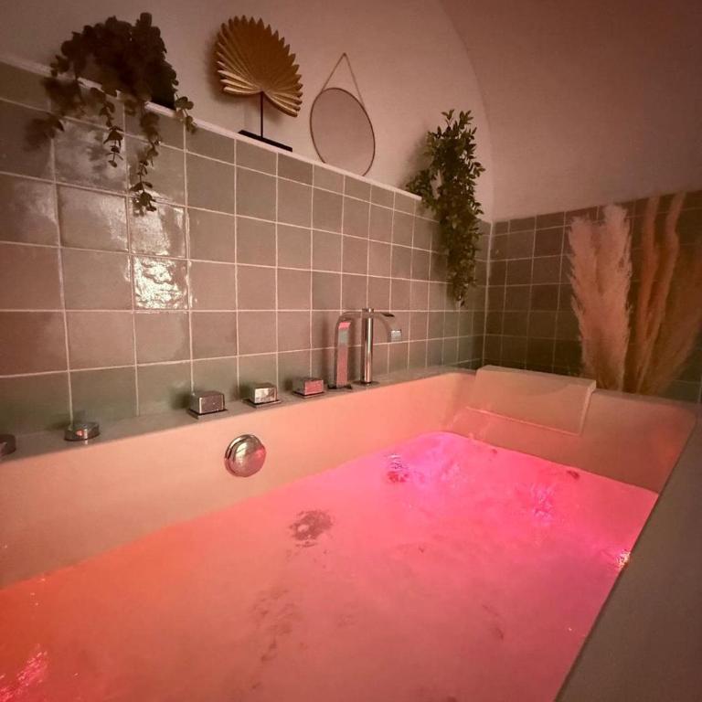 Charité 3 - Love Room Spa - Place Bellecour - Appartement 1 Chambre - 19