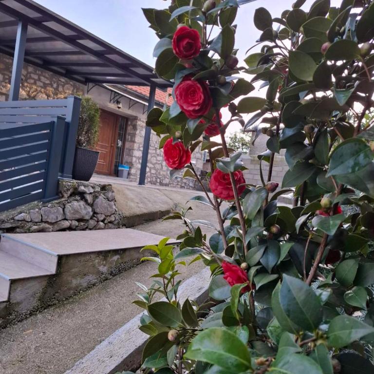 Gazdinstvo Prcović - Vila sa 2 Spavaće Sobe - 4