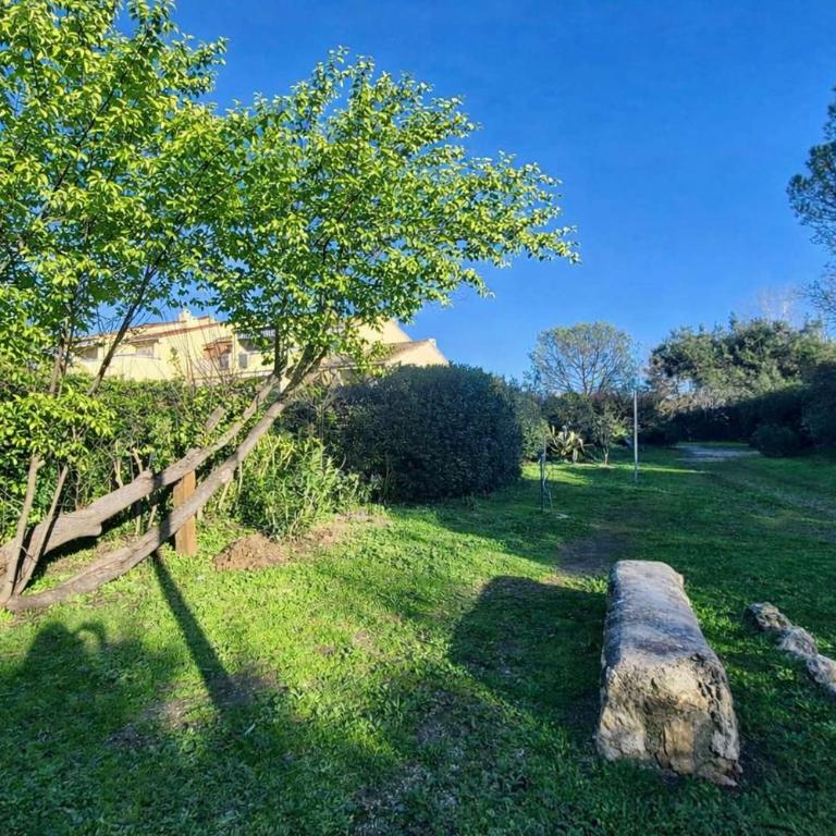 CO030-061 Appart 2 pièces-Mezzanine - 4 personnes - Port Cogolin - Appartamento con 1 Camera da Letto - 12