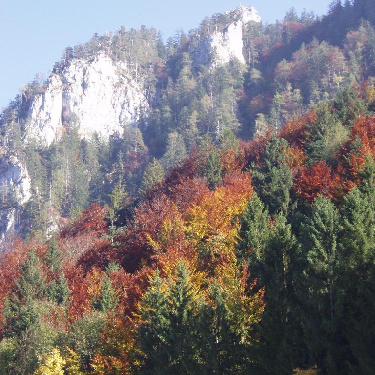 Ferienwohnung Jochberg Mountain view - Apartment mit 1 Schlafzimmer - 14
