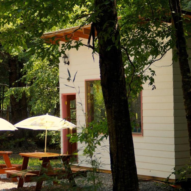 Cafeteria y Cabañas Eluney - Cohigue - One-Bedroom House - 42