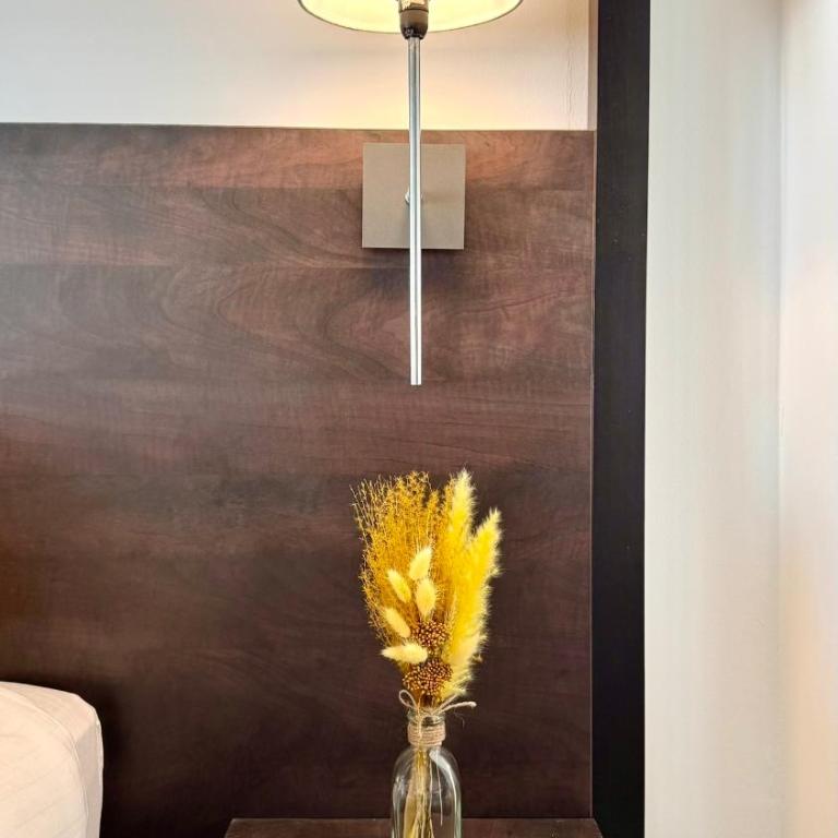Cozy Studio in Cannes - Appartement 1 Chambre - 13