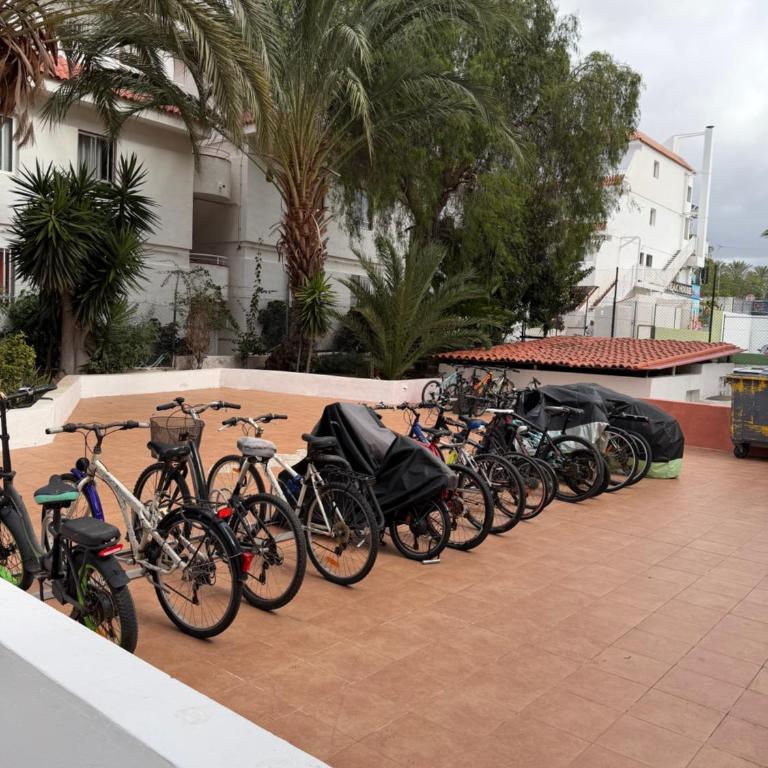 Tajinaste SARA - Apartamento de 1 dormitorio - 22