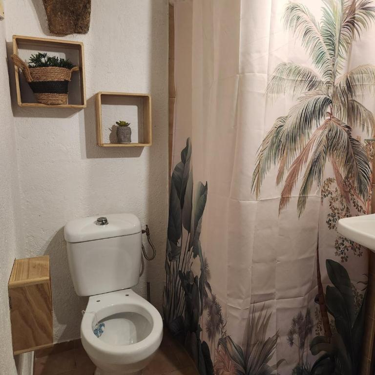 Atypique studio - Appartement 1 Chambre - 4