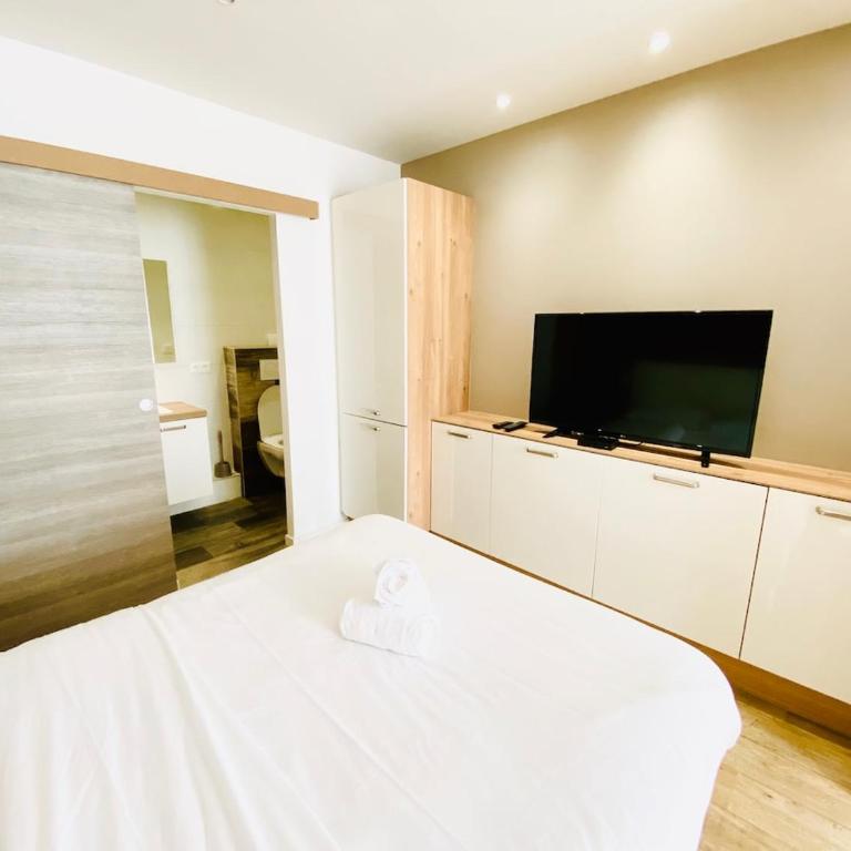 Creuzet - Studio - Saxe Gambetta - Appartement 1 Chambre - 7