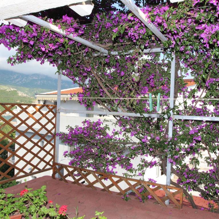 Apartment Sandra - Apartment - 1