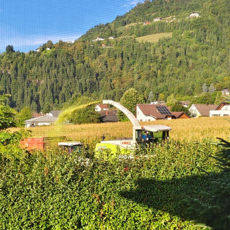 Ferienwohnung Auszeit am Ossiachersee - Familien-Apartment mit 2 Schlafzimmern - 31