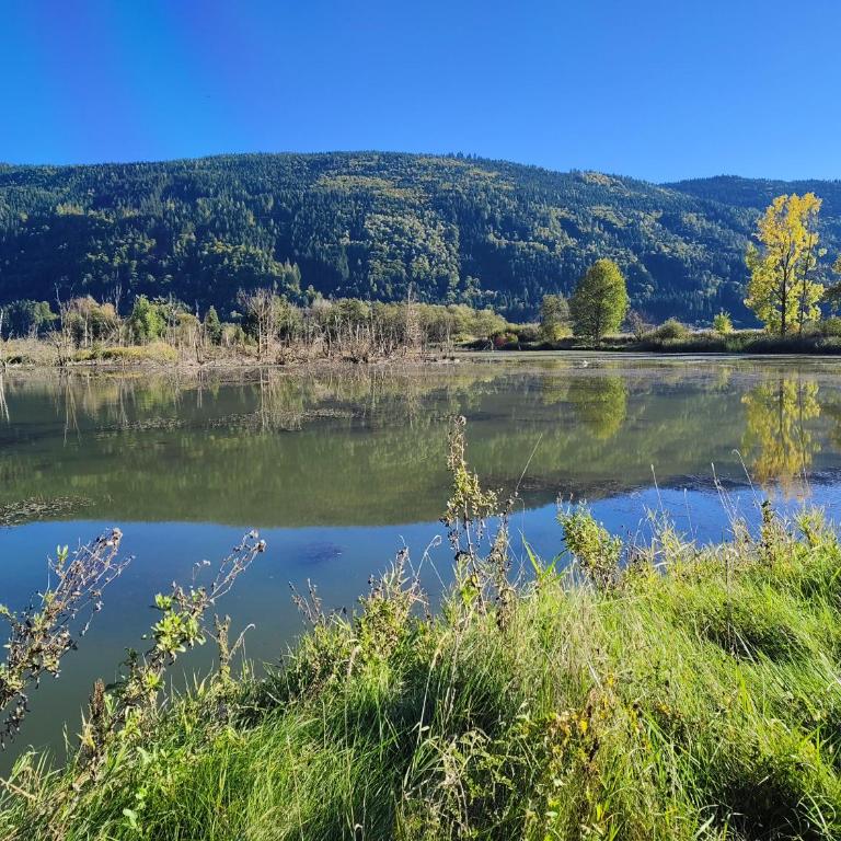 Ferienwohnung Auszeit am Ossiachersee - Familien-Apartment mit 2 Schlafzimmern - 42