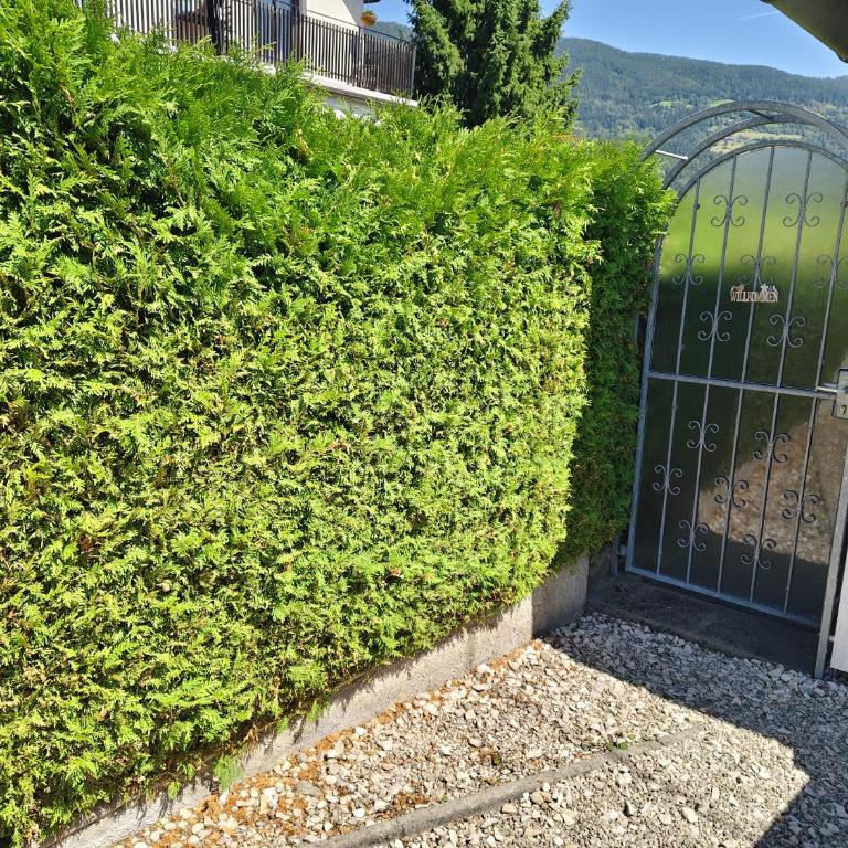 Ferienwohnung Auszeit am Ossiachersee - Familien-Apartment mit 2 Schlafzimmern - 11