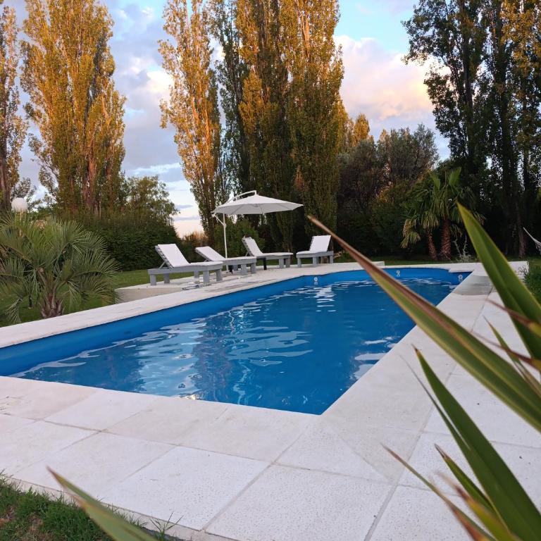 ALAMEDAS del SUR CABAÑAS - One-Bedroom Apartment - 9