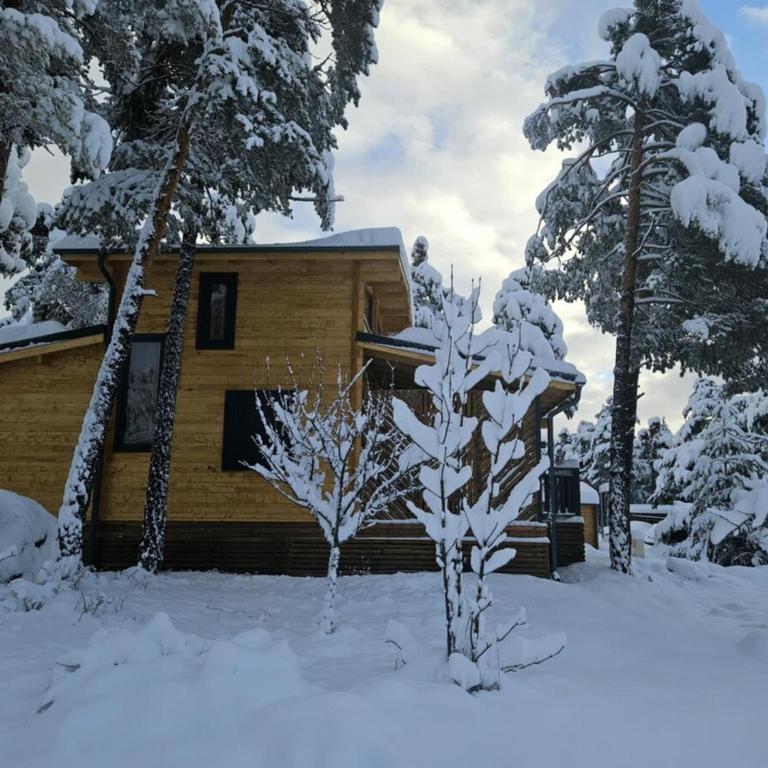 Chalet neuf proche des stations de ski - Chalet 3 Chambres - 14