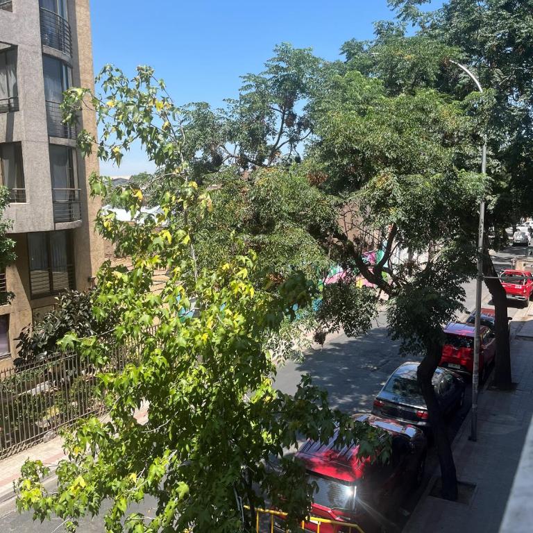 TQCaleta Downtown - Hostel & Cowork - Bed in 6-Bed Female Dormitory Room - 7