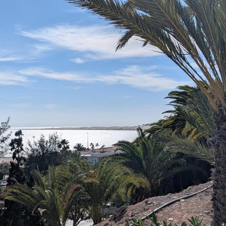 Ocean views cute apartment San Agustin, Gran Canaria - Apartamento de 1 dormitorio - 3