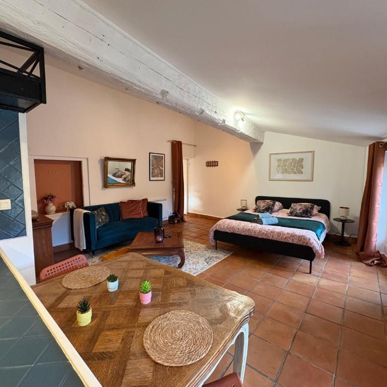 Studio Provençal au centre-ville de Vienne - Appartement 1 Chambre - 1