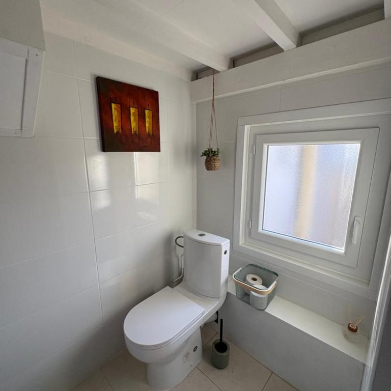 Studio Provençal au centre-ville de Vienne - Appartement 1 Chambre - 5
