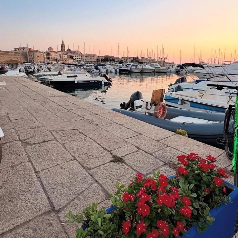 Casa Fernanda - Appartamento con 1 Camera da Letto - 27