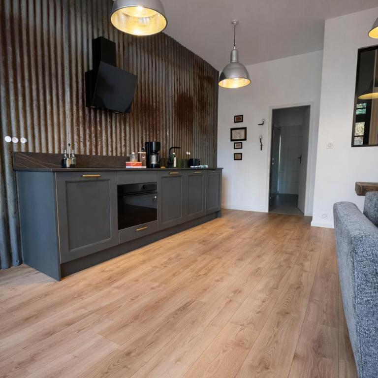 Studio Lumière - Pause lumineuse à 5 min du Zoo - CLIM - One-Bedroom Apartment - 9