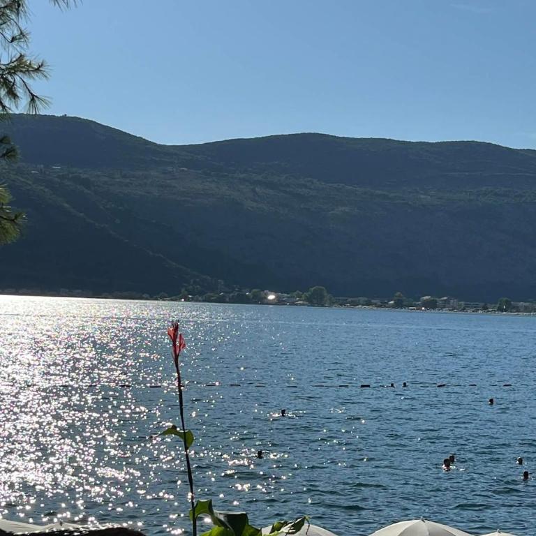 Apartman Herceg Novi - One-Bedroom Apartment - 44