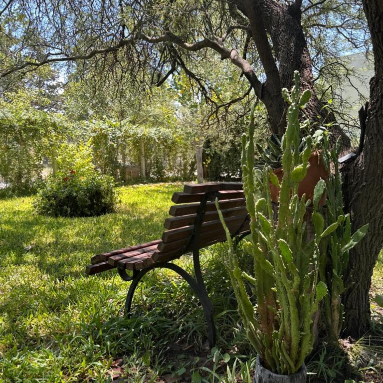 El Rincón de los Pájaros - Two-Bedroom House - 3
