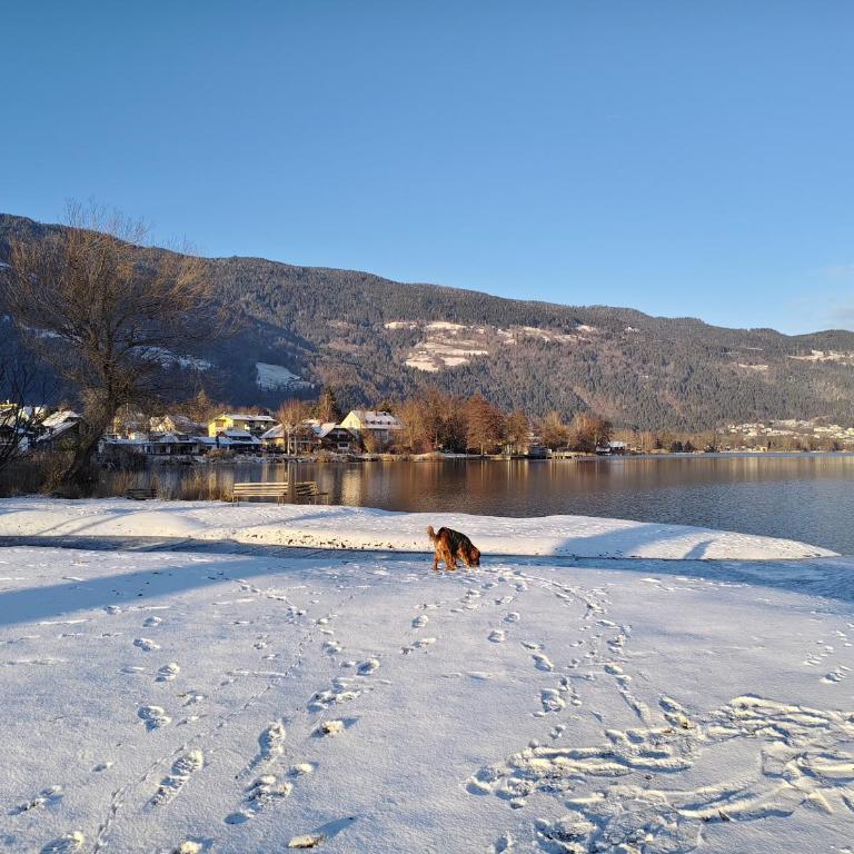 Ferienwohnung Auszeit am Ossiachersee - Familien-Apartment mit 2 Schlafzimmern - 52
