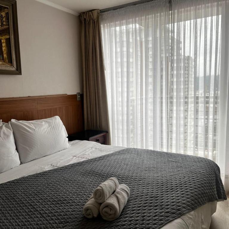 NM Departamentos Amoblados - One-Bedroom Apartment - 2