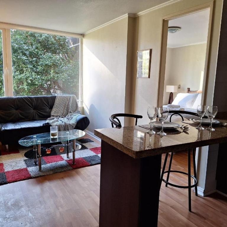 NM Departamentos Amoblados - One-Bedroom Apartment - 7