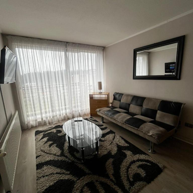 NM Departamentos Amoblados - One-Bedroom Apartment - 10