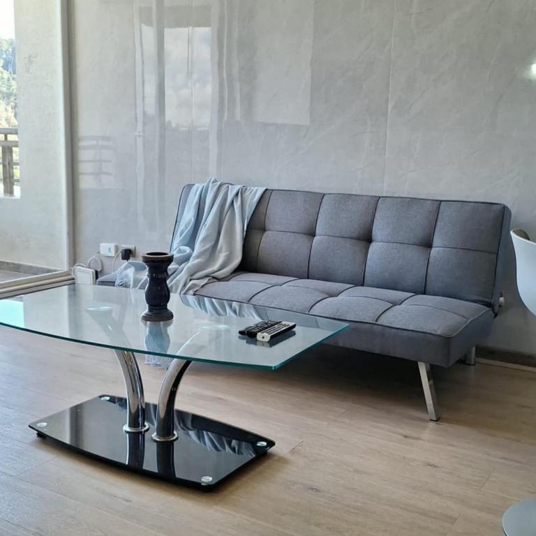 NM Departamentos Amoblados - One-Bedroom Apartment - 2