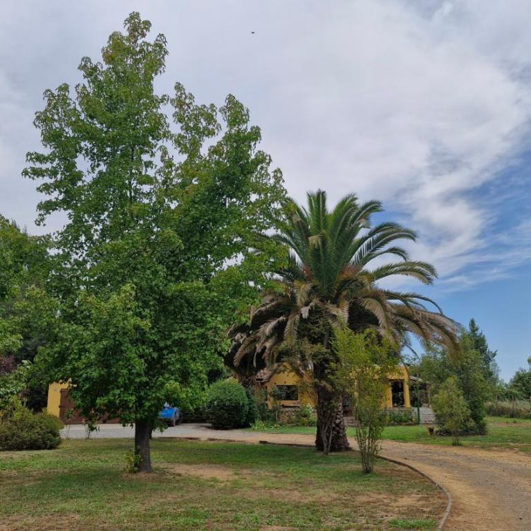 Hermosa casa de campo - Three-Bedroom House - 33