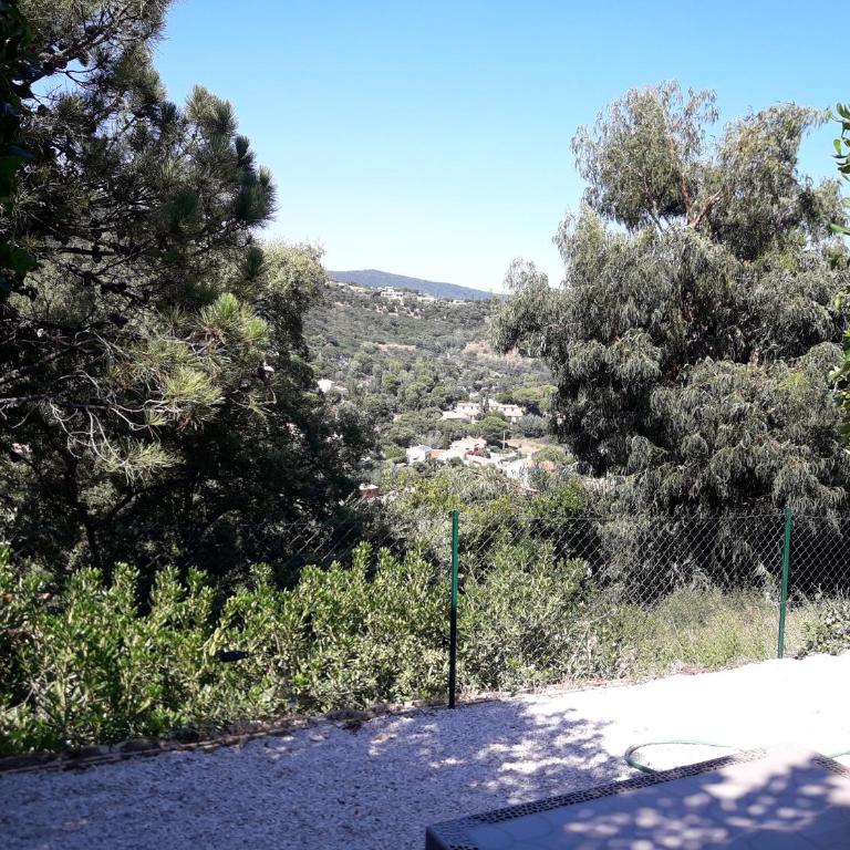 Le repos des crêtes - Appartement 1 Chambre - 21