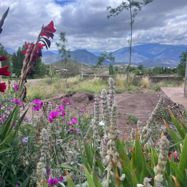 Montaña Mágica - One-Bedroom Chalet - 3